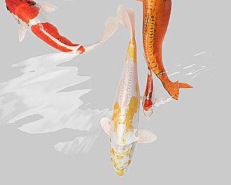 《昭和米国物语》官宣新预告片：11月1日11点发布